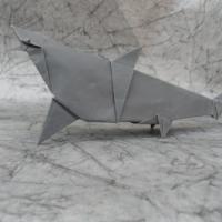 
<span>shark</span>
