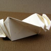 
<span>Fujimoto Tube Box</span>
