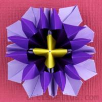 
<span>Passion Flower</span>
