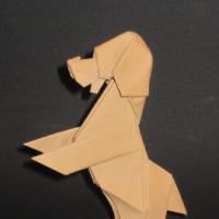 
<span>down boy!</span>
