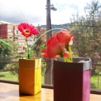 
<span>Seedling Pot</span>
