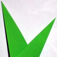 
<span>Grass</span>
