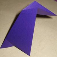 
<span>Crow</span>
