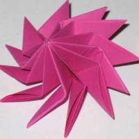 
<span>Twelve Winged Spinning Top</span>
