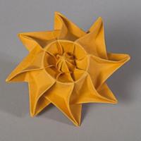 
<span>Solicino (pretty sun)</span>
