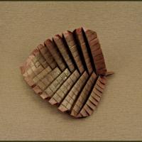
<span>Fern Leaf</span>
