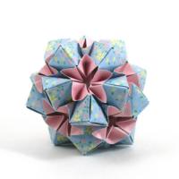 
<span>Star Flower</span>
