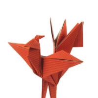 
<span>Phoenis</span>
