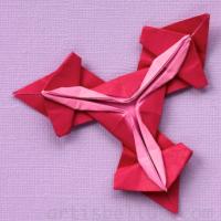 
<span>Bicolor Spring Flower</span>
