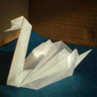 
<span>Swan</span>
