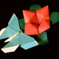 
<span>Kyoko's Butterfly</span>
