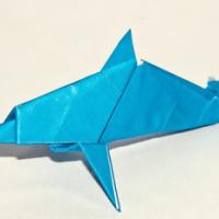
<span>Dolphin</span>
