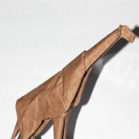 
<span>Giraffe</span>
