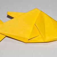 
<span>Fish</span>
