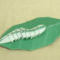 
<span>Caterpillar on a Leaf</span>
