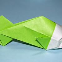 
<span>Fish</span>
