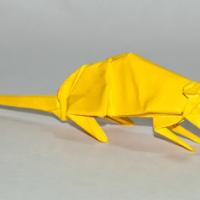 
<span>Mouse</span>
