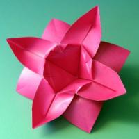 
<span>Flower with eight petals</span>
