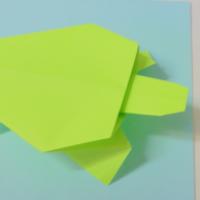 
<span>Tavin's Turtle</span>
