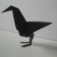 
<span>Raven</span>

