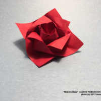 
<span>Makoto Rose</span>
