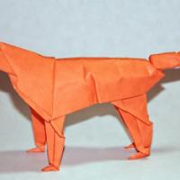 
<span>Irish Setter</span>
