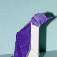 
<span>Pinguino (penguin)</span>

