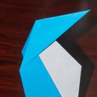 
<span>Nathan's Penguin</span>
