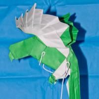 
<span>macaw</span>
