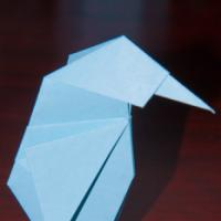 
<span>Baby Penguin</span>
