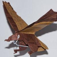 
<span>Golden Eagle</span>
