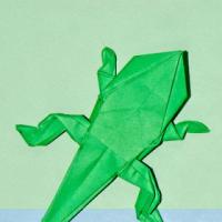 
<span>Froglet</span>
