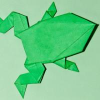 
<span>Frog</span>
