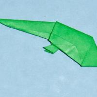 
<span>Tadpole with Hind Legs</span>
