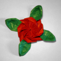 
<span>Flower with Leaves</span>
