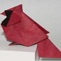 
<span>Northern cardinal</span>
