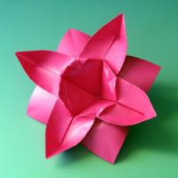
<span>Eight Petaled Flower</span>
