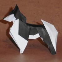 
<span>Siberian Husky</span>
