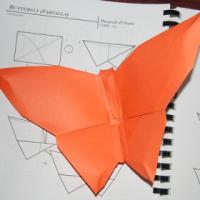 
<span>Butterfly</span>

