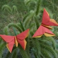 
<span>A Butterfly for Jane Winchell</span>
