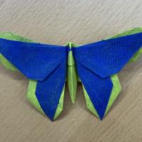 
<span>A Butterfly for Jan Polish</span>

