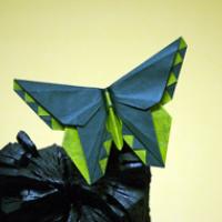 
<span>A Butterfly for Vanessa Gould</span>
