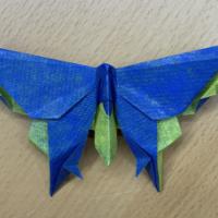 
<span>A Butterfly for Robert Lang</span>
