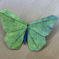 
<span>The Origamido Butterfly</span>
