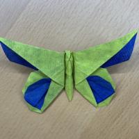 
<span>A Butterfly for Anne LaVin</span>
