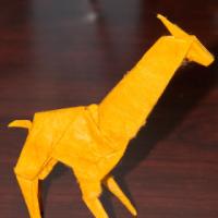 
<span>Giraffe</span>
