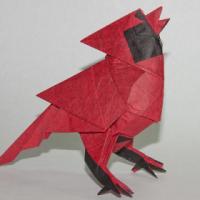 
<span>Singing Cardinal</span>
