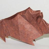 
<span>Wild Boar</span>
