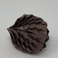 
<span>Pine Cone</span>
