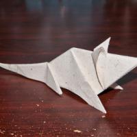 
<span>Mouse</span>
